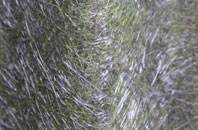 Guilton fibreglass roof work